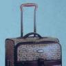 big suitcase